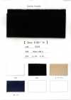 0319 Pile Lato B A 2 Vie