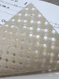 6400 [Liner] Foto secondaria