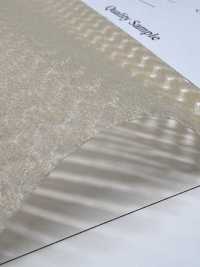 6400 [Liner] Foto secondaria