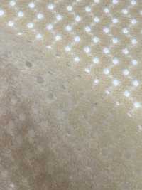 6400 [Liner] Foto secondaria