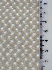 6400 [Liner] Foto secondaria