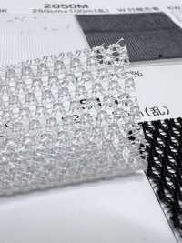 5197 [Liner] Foto secondaria