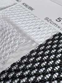 5197 [Liner] Foto secondaria