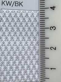 5197 [Liner] Foto secondaria