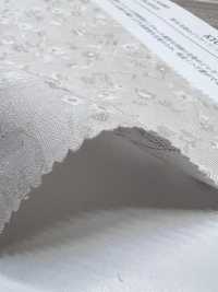 KYC545-1 Cotone 40 Jacquard Tinto In Filo[Tessile / Tessuto] Uni Textile(Komon Studio) Foto secondaria