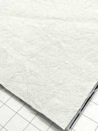 KINANADAKI-31 KINANADAKI 31, Fizz Fizz Fizz Fizz~~[Tessile / Tessuto] Komatsuwa Textile Foto secondaria