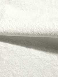 KINANADAKI-31 KINANADAKI 31, Fizz Fizz Fizz Fizz~~[Tessile / Tessuto] Komatsuwa Textile Foto secondaria