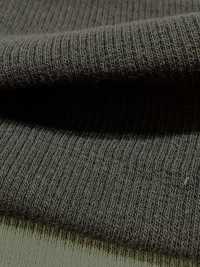 1078651 ALBINI RETWIST Tessuto A Coste In Spandex TERECO[Tessile / Tessuto] TAKISADA NAGOYA Foto secondaria