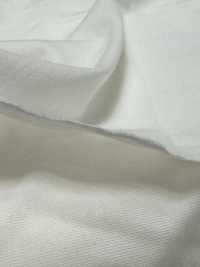 1078420-OUTLET ALBINI SEA ISLAND COTTON Jersey[Tessile / Tessuto] TAKISADA NAGOYA Foto secondaria