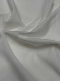 1078420-OUTLET ALBINI SEA ISLAND COTTON Jersey[Tessile / Tessuto] TAKISADA NAGOYA Foto secondaria