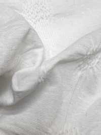 MKA2600 Sovrapposizione JQ A Maglia[Tessile / Tessuto] Marukyo Textile Foto secondaria