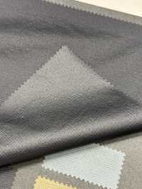 1064651 ALTERNEX(R) Nylon Ripstop Riciclato[Tessile / Tessuto] TAKISADA NAGOYA Foto secondaria