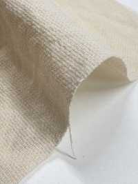 BC1867 Leno Weave Weave Dot Mesh[Tessile / Tessuto] COSMO TEXTILE Foto secondaria