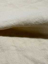 BC1867 Leno Weave Weave Dot Mesh[Tessile / Tessuto] COSMO TEXTILE Foto secondaria