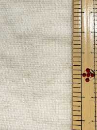 BC1867 Leno Weave Weave Dot Mesh[Tessile / Tessuto] COSMO TEXTILE Foto secondaria