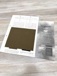 2922 Gabardine CPT30s Momohada Gendai[Tessili / Tessuti] VANCET Immagini aggiuntive