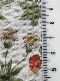AF-1120-1 80 Lawn Miracle Wave Daisy[Tessile / Tessuto] HOKKOH Immagini aggiuntive