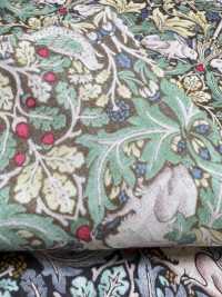 AF-1110-2 80 Conigli Lawn Brothers[Tessile / Tessuto] HOKKOH Immagini aggiuntive