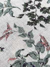 7027-720-2 Tessuto 100% Lino Loomstate Angel Soft Leaf Fruit[Tessile / Tessuto] HOKKOH Foto secondaria
