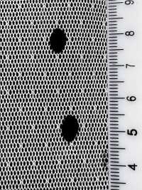 HP-5096-1 Tulle Delight Flocky Dot[Tessile / Tessuto] HOKKOH Foto secondaria