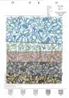 7027-601-1 60 Batista 6195 Fiore disegnato a penna