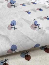 7027-616-1 60 Prato 9088 Cherry Dot[Tessile / Tessuto] HOKKOH Foto secondaria