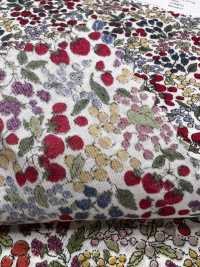 7027-618-1 60 Lawn 9088 Berry Pattern[Tessile / Tessuto] HOKKOH Foto secondaria