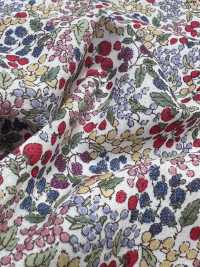 7027-618-1 60 Lawn 9088 Berry Pattern[Tessile / Tessuto] HOKKOH Foto secondaria