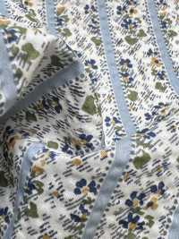 7027-625-1 60 Lawn Ripple Sarasa Stripe[Tessile / Tessuto] HOKKOH Foto secondaria