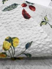 7027-630-5 80 Frutti Miracle Wave Per Il Prato[Tessile / Tessuto] HOKKOH Immagini aggiuntive