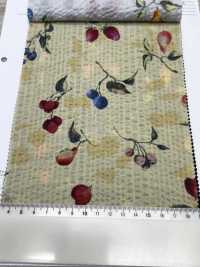 7027-630-5 80 Frutti Miracle Wave Per Il Prato[Tessile / Tessuto] HOKKOH Immagini aggiuntive