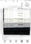 7027-636-2 80 Organza batista a righe waffle