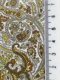 3027-650-13 60 Lawn Paisley[Tessile / Tessuto] HOKKOH Foto secondaria