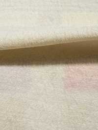 DWFM-DCGAEH0006W Nylon Rayon Elasticizzato[Tessile / Tessuto] Foto secondaria