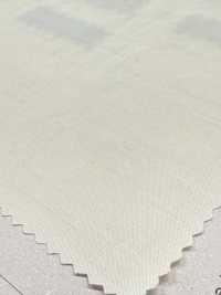 DWFM-DCGAEH0038W Prato Di Cotone Tencel™[Tessile / Tessuto] Foto secondaria