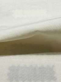 DWFM-DCGAEH0038W Prato Di Cotone Tencel™[Tessile / Tessuto] Foto secondaria