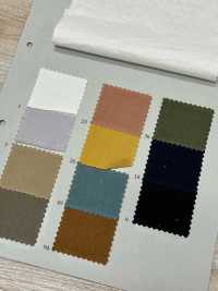PSW2650 Moleskin leggero[Tessile / Tessuto] KOYAMA Immagini aggiuntive