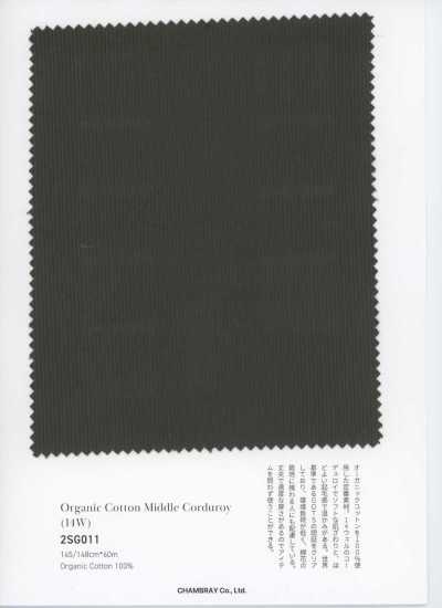 2SG011 Velluto a coste medio in cotone biologico (14W)