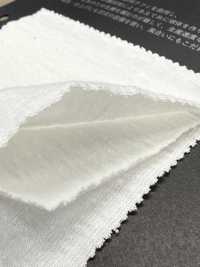 FJ680000 Jersey A Palline Raffi[Tessile / Tessuto] Fujisaki Textile Foto secondaria