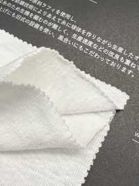 FJ680000 Jersey A Palline Raffi[Tessile / Tessuto] Fujisaki Textile Foto secondaria