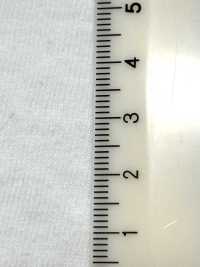 FJ680000 Jersey A Palline Raffi[Tessile / Tessuto] Fujisaki Textile Foto secondaria