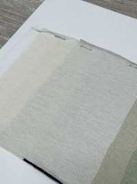 W-47811 Jersey trasparente[Tessili / Tessuti] Minami Immagini aggiuntive