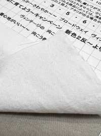 KINANADAKI-11 KINANADAKI 11 Lovely Komi-chan Finitura Kinaga Ni Ikou[Tessile / Tessuto] Komatsuwa Textile Immagini aggiuntive