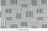 AP65103 Oxford Stampato Fluorescente (Rotolo)[Tessuti / Stoffe] COSMO TEXTILE Immagini aggiuntive
