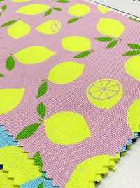 AP65103 Oxford Stampato Fluorescente (Rotolo)[Tessuti / Stoffe] COSMO TEXTILE Immagini aggiuntive