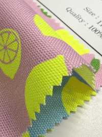 AP65103 Oxford Stampato Fluorescente (Rotolo)[Tessuti / Stoffe] COSMO TEXTILE Immagini aggiuntive