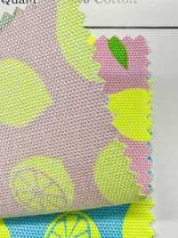 AP65103 Oxford Stampato Fluorescente (Rotolo)[Tessuti / Stoffe] COSMO TEXTILE Immagini aggiuntive