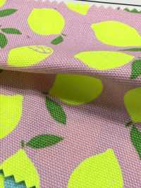 AP65103 Oxford Stampato Fluorescente (Rotolo)[Tessuti / Stoffe] COSMO TEXTILE Immagini aggiuntive