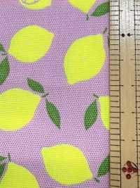AP65103 Oxford Stampato Fluorescente (Rotolo)[Tessuti / Stoffe] COSMO TEXTILE Immagini aggiuntive