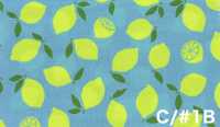 AP65103 Oxford Stampato Fluorescente (Rotolo)[Tessuti / Stoffe] COSMO TEXTILE Immagini aggiuntive